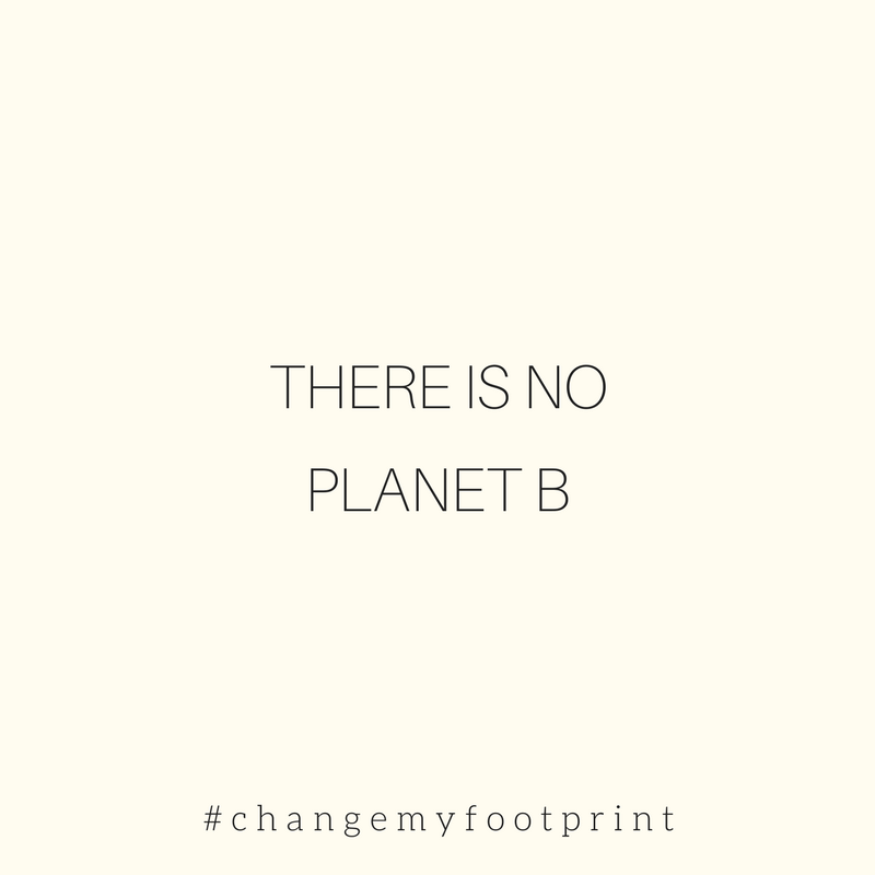 There is no planet B. World environment day