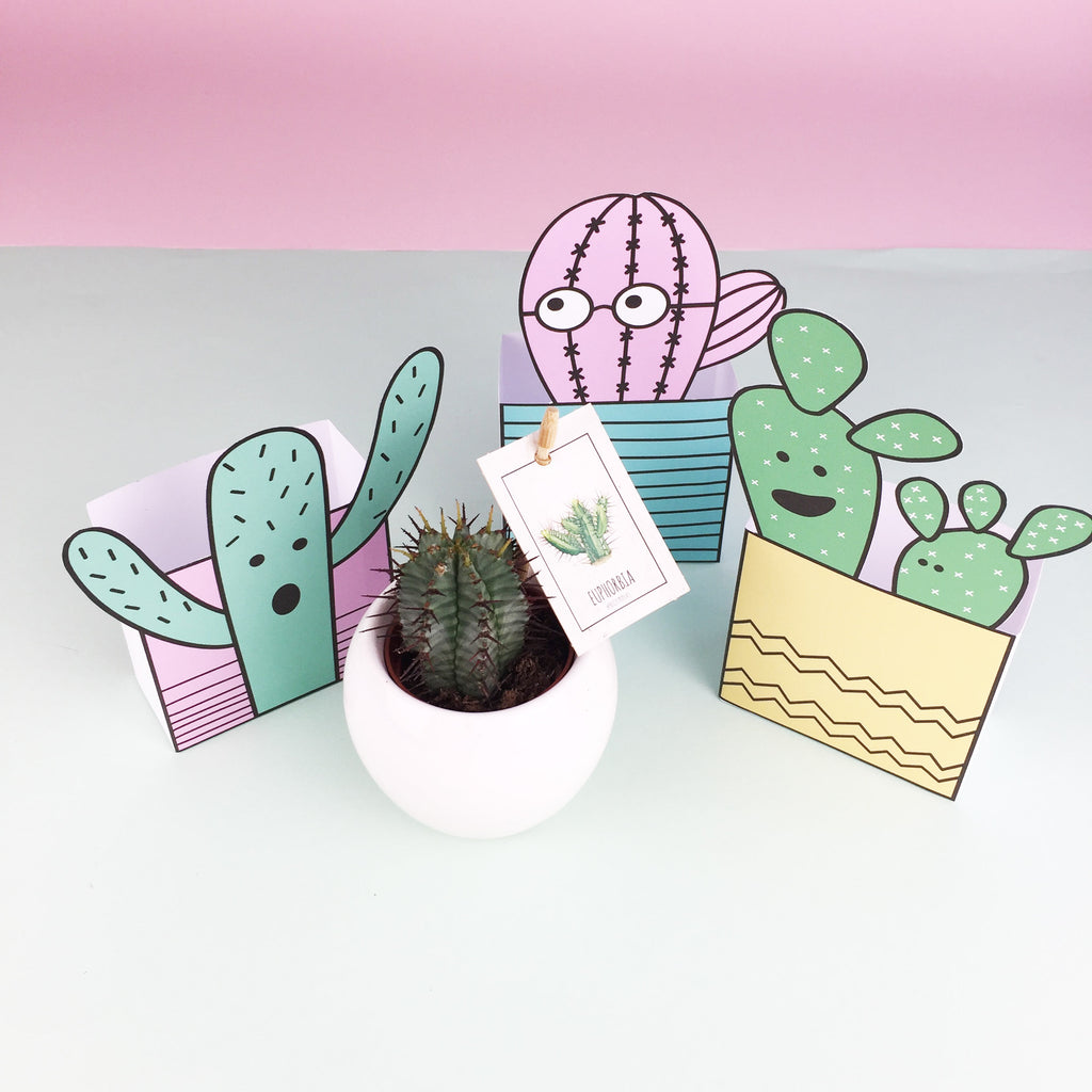 Cacti box making activity - Free printable