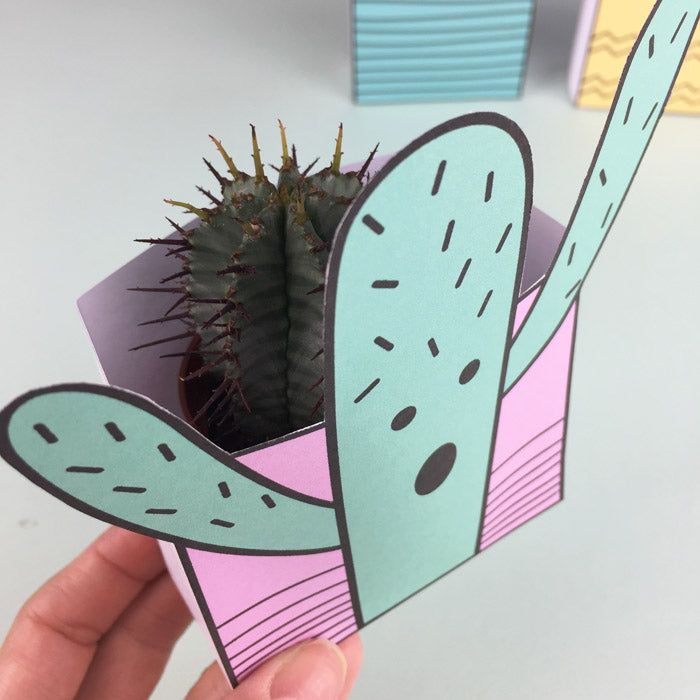 Cacti box making activity - Free printable